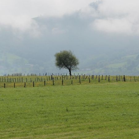 Casa De Aldea Monga 9 En Nava, Asturiasヴィラ エクステリア 写真
