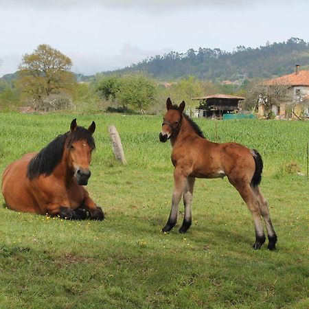 Casa De Aldea Monga 9 En Nava, Asturiasヴィラ エクステリア 写真