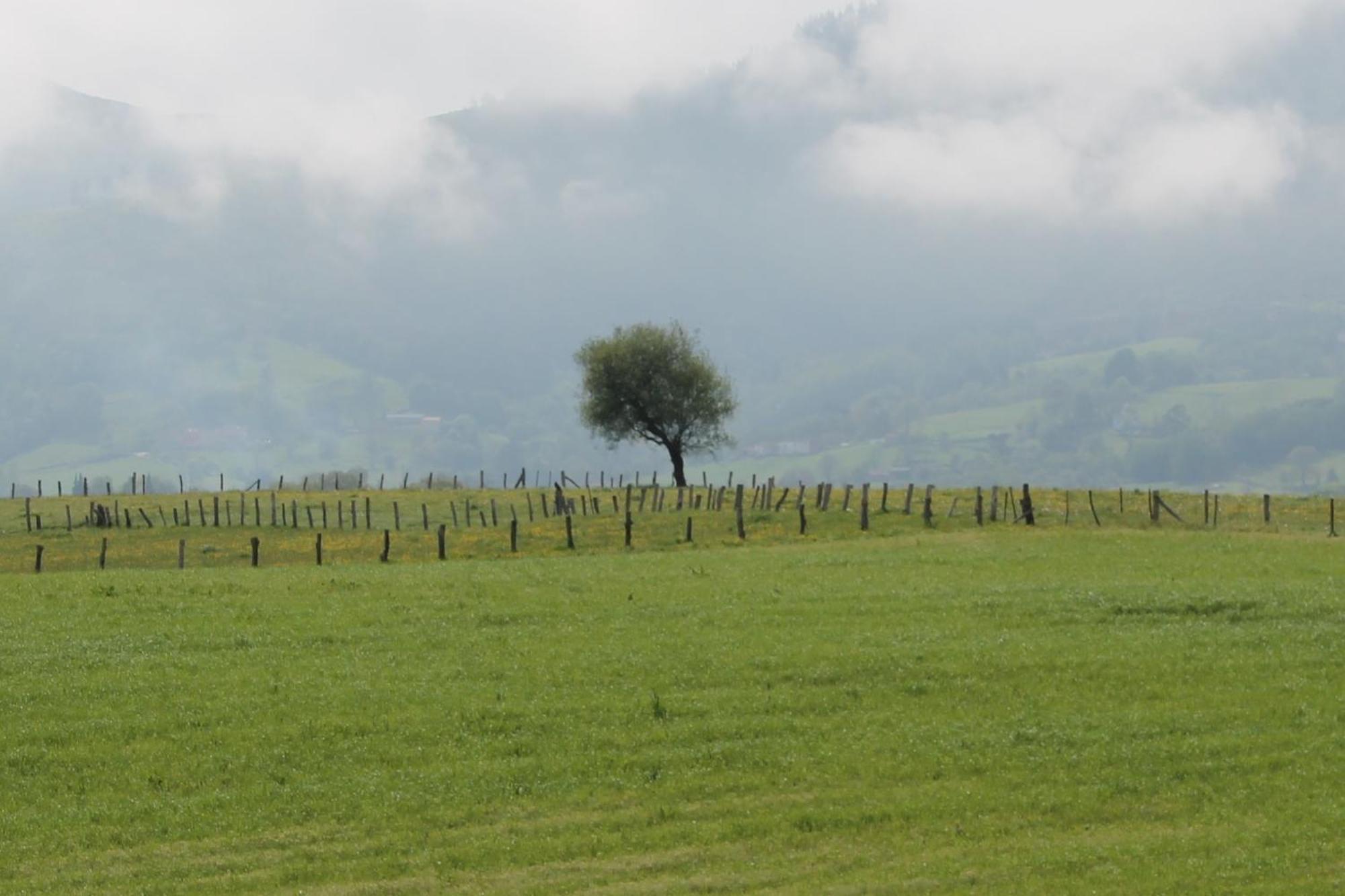 Casa De Aldea Monga 9 En Nava, Asturiasヴィラ エクステリア 写真