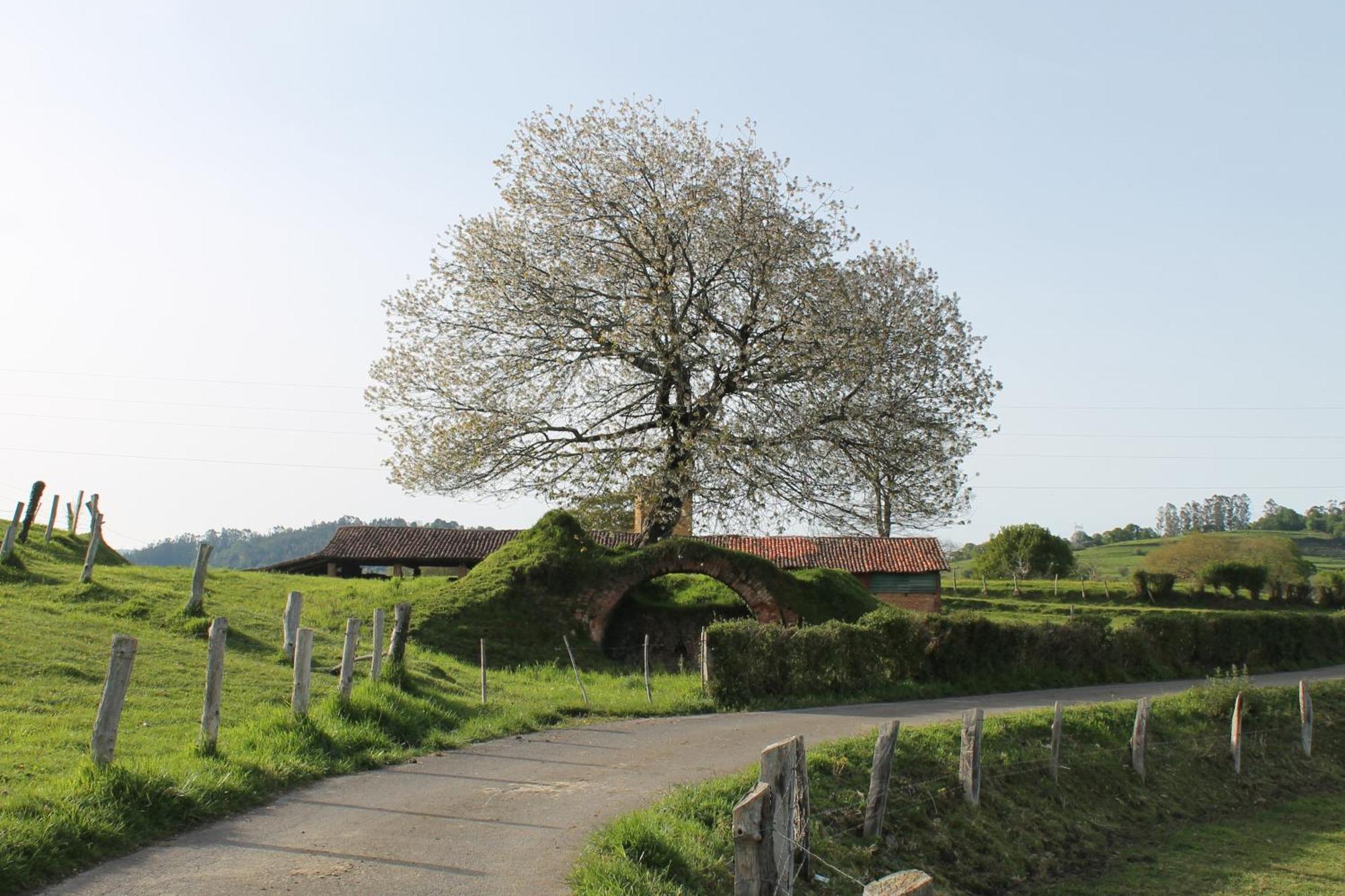 Casa De Aldea Monga 9 En Nava, Asturiasヴィラ エクステリア 写真